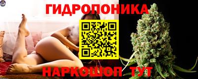 шишки Балаково